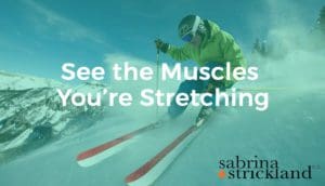 See the Muscles You're Stretching