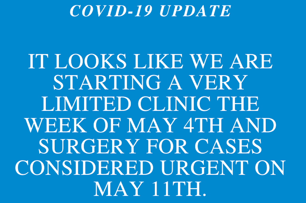 COVID-19 Update 1 COVID-19 Update - starting limited clinic the week of May 4th