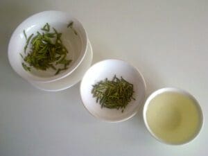 Research on potential cures for arthritis - green tea and gall nuts